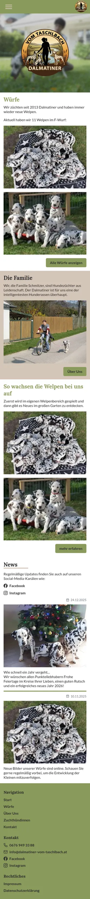 Dalmatiner vom Taschlbach Mobilansicht
